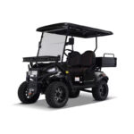 Ranch 2 Seat Electric Golf Cart with Lithium Battery and Tilting Cargo Bed - Red