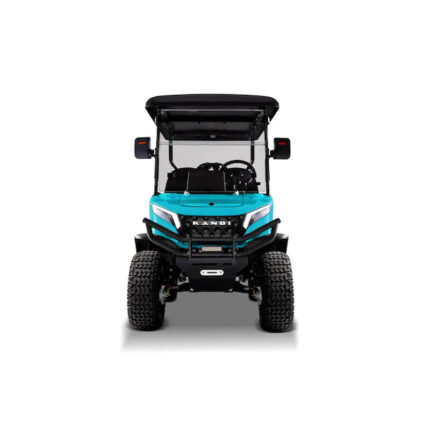Pro 4 Seat Electric Golf Cart with Lithium Battery- Turquoise