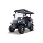 Pro 4 Seat Electric Golf Cart with Lithium Battery- Turquoise