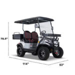Ranch 2 Seat Electric Golf Cart with Lithium Battery and Tilting Cargo Bed - Red