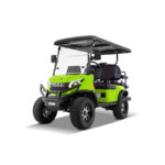 Pro 4 Seat Electric Golf Cart with Lithium Battery- Turquoise